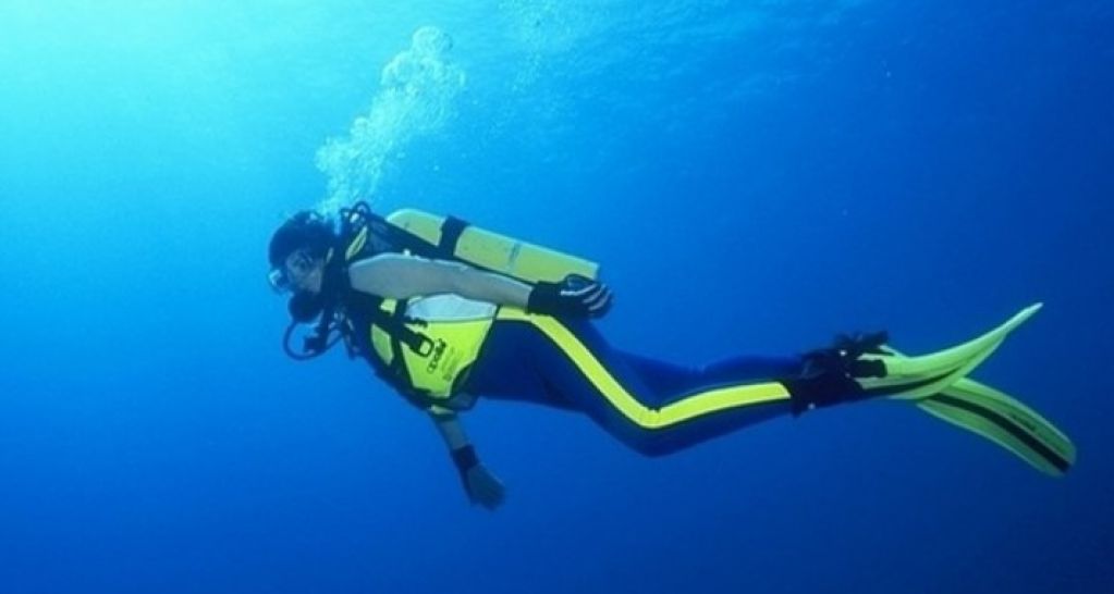 Сенсация! Дайвер встретил под водой огромного морского монстра. ВИДЕО