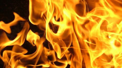 Пожар в Николаевской области: неизвестные подожгли лесное урочище