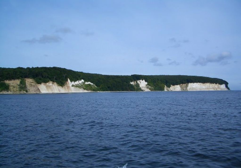 Балтийское море атакуют токсичные бактерии: есть первая жертва