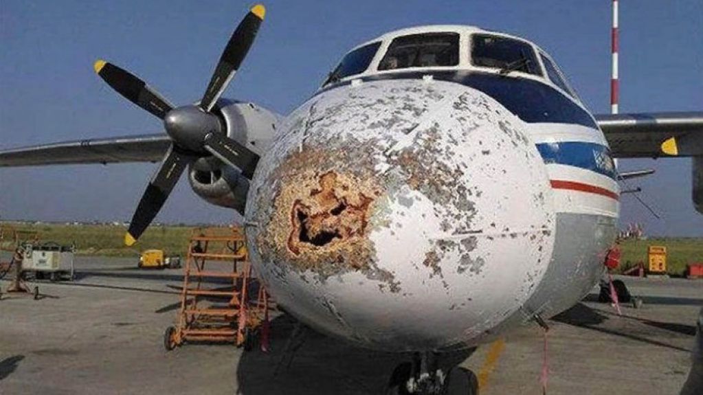 Уфологи: на российский самолет напали инопланетяне