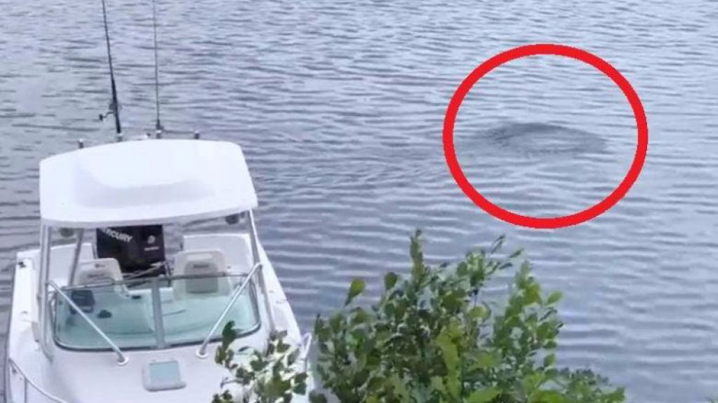 В американском озере запечатлели загадочный объект. ВИДЕО