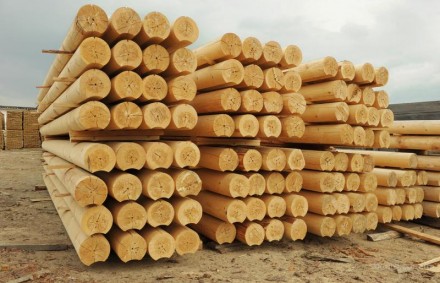 Рада отменила мораторий на экспорт леса-кругляка