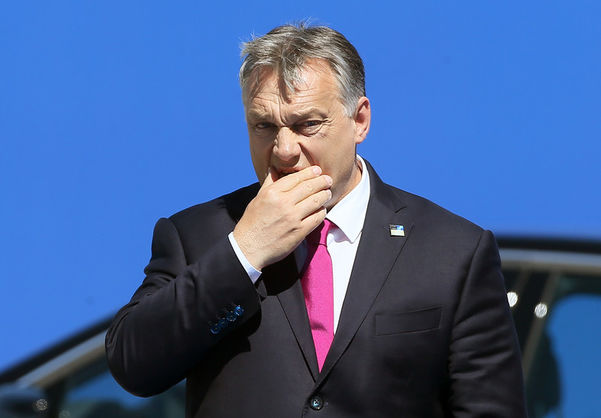 В НАТО признались в своем бессилии перед вето Венгрии, если ее не устроят украинские реформы 