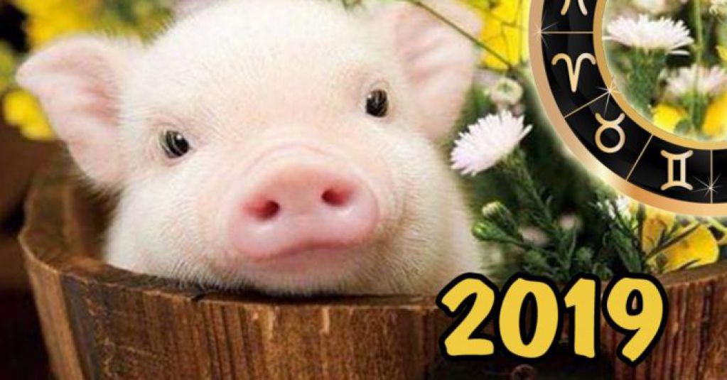 Общий гороскоп для всех знаков Зодиака на 2019 год 