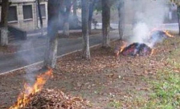 Какой штраф будут платить украинцы, сжигающие сухие листья