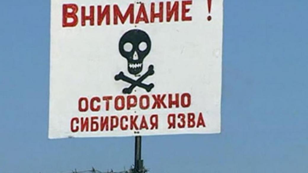 Сибирская язва в Украине: как не заразиться смертельной болезнью