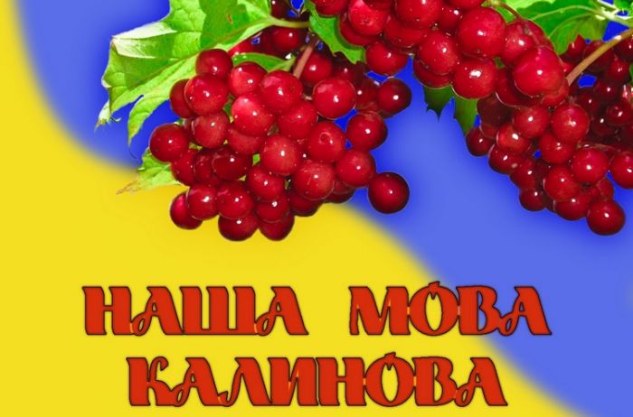 Андрій Кокотюха. Інструкція з облаштування україномовного простору