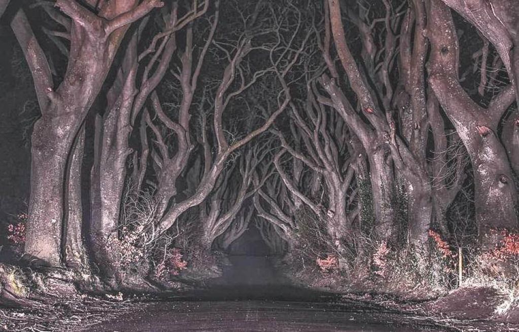 Знаменитую Серую Леди сфотографировали на «кривой» ирландской аллее