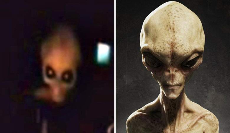 Уфолог показал видео с инопланетянином