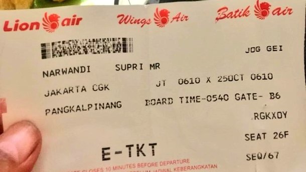 Авиакатастрофа в Индонезии: как выжил пассажир разбившегося лайнера. ФОТО 