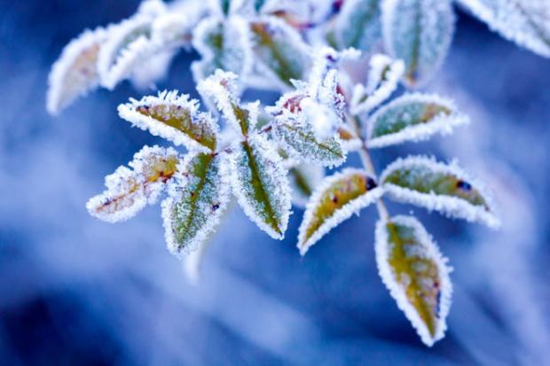 Похолодание рвется в Украину, названы даты первых морозов