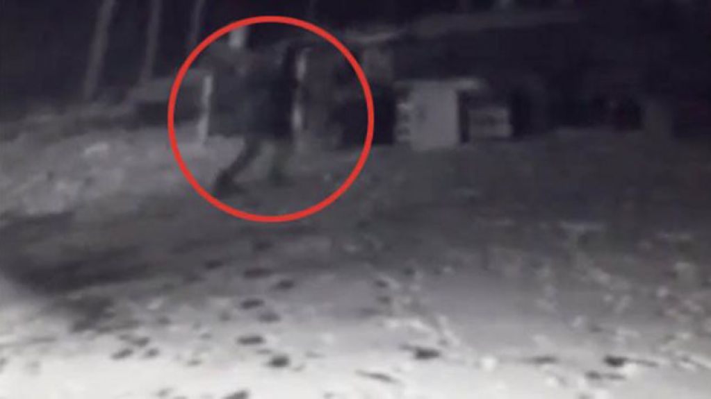 Видеокамера показала, что собака неистово гавкала на какую-то сущность