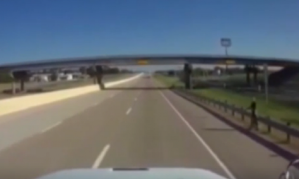 На запись авторегистратора попало жуткое существо. ВИДЕО
