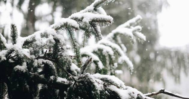 Украину засыплет снегом: появился прогноз погоды на новую неделю