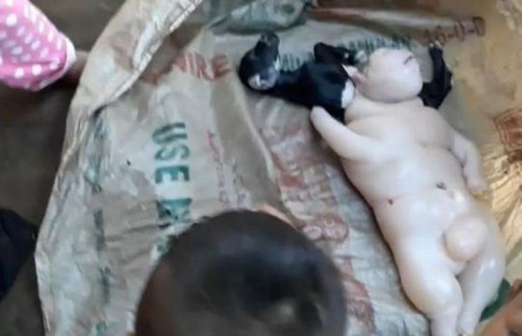 Наполовину свинья, наполовину человек: коза родила жуткое чудовище. ВИДЕО