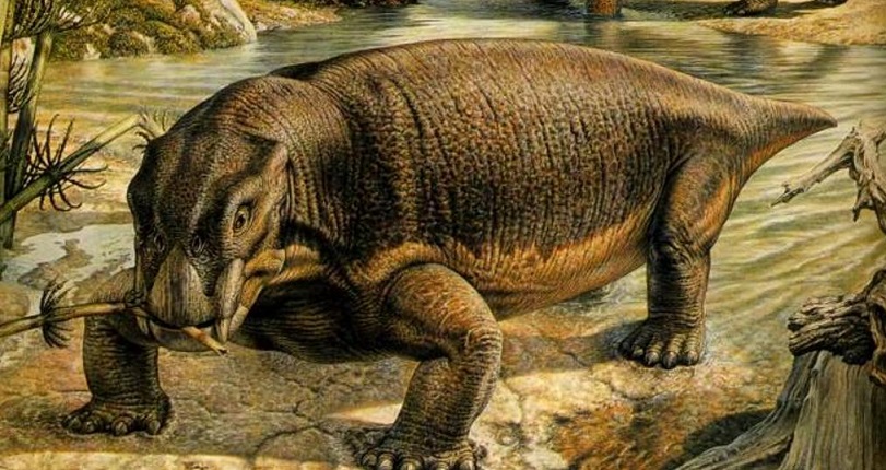 В Польше палеонтологи нашли останки гигантского предка человека