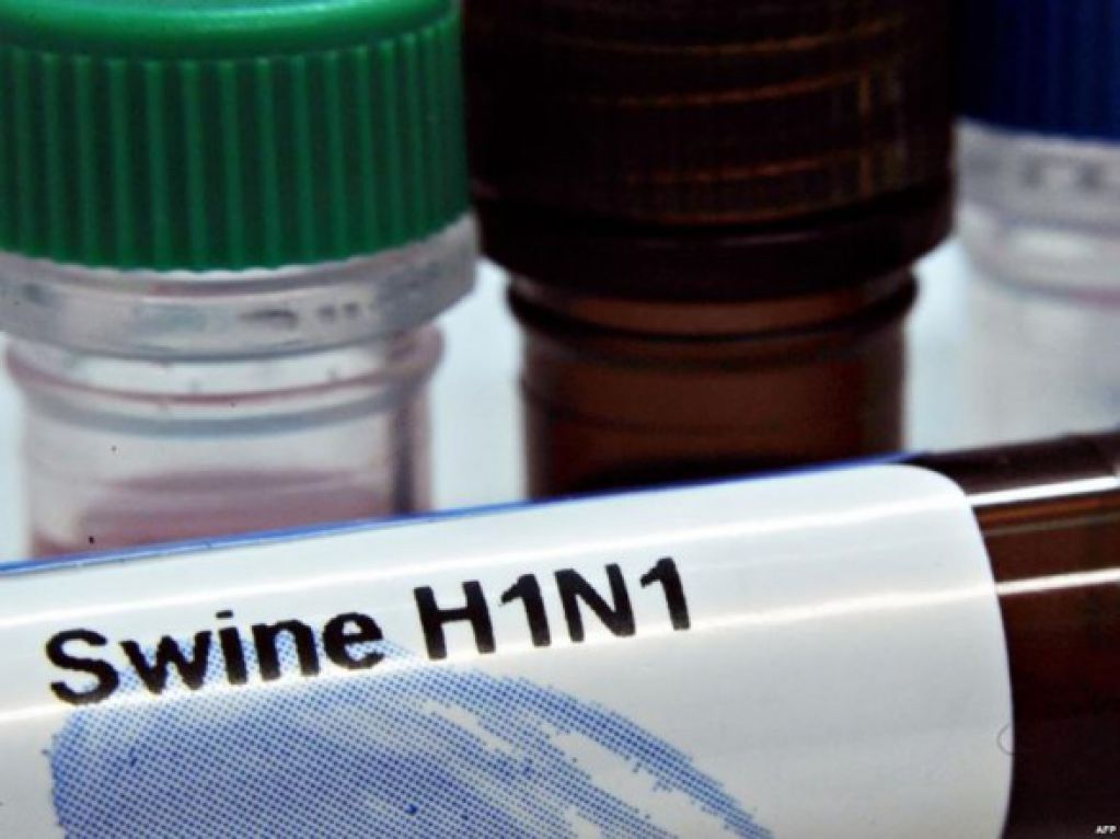 Свиной грипп подвида H1N1 убил журналистку
