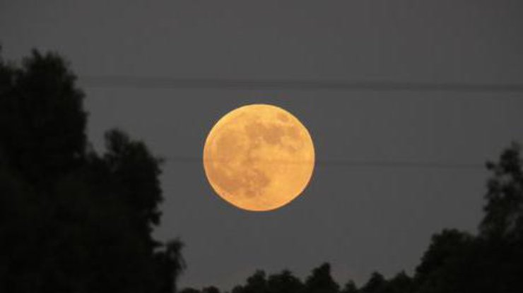 Январское лунное затмение: что надо делать каждому знаку зодиака