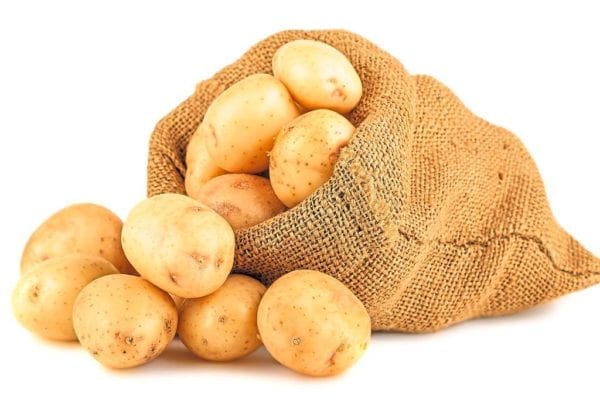 Компанія Agrico — якісні ранні сорти картоплі для багатого врожаю