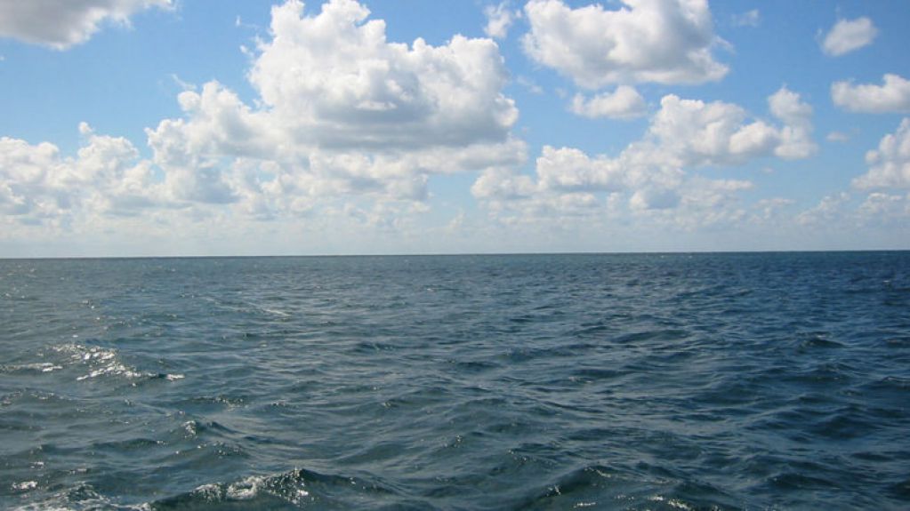 Ученые утверждают, что Черное море превратится в унылое болото