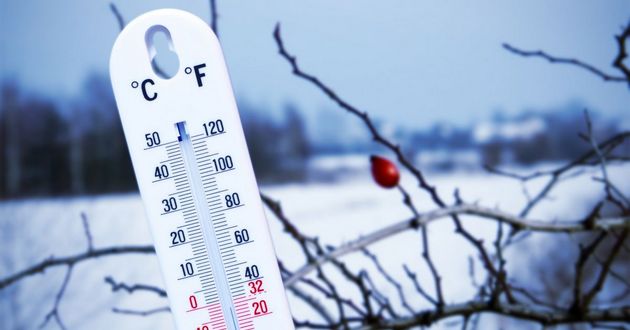 Украину накроют морозы и штормовой ветер: прогноз погоды на неделю