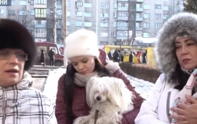 Массовая гибель собак в Черновцах: живодер разбрасывает яд по городу