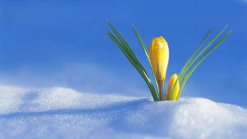 Синоптики рассказали, каким будет первый день весны в Украине