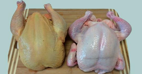 Как очистить от вредных веществ и антибиотиков магазинную курицу