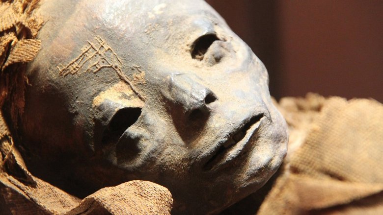 В Египте нашли мумию с лицом инопланетянина