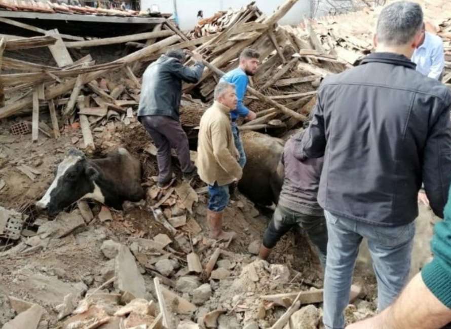 Сложились, как карточные домики: в Турции дома не выдержали землетрясения