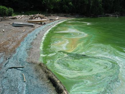 Экологи бьют тревогу: в украинских реках растет концентрация содержания фосфатов 