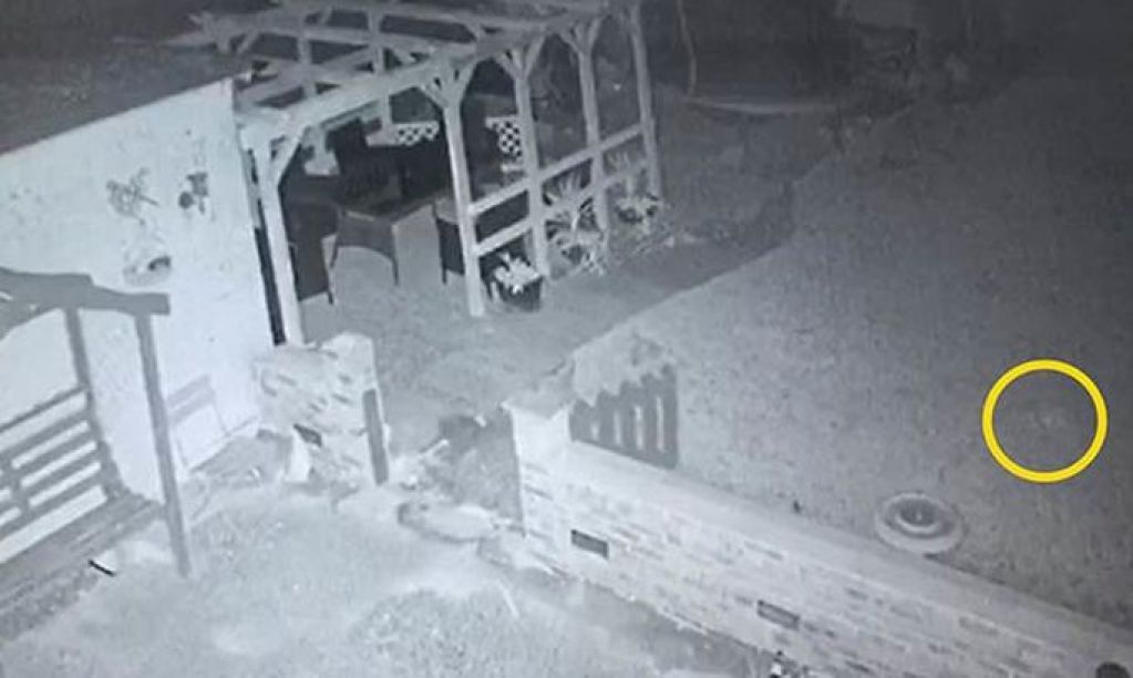 Супруги оторопели от ужаса, просмотрев запись камеры наблюдения