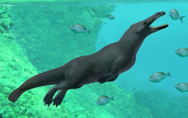 Ученые обнаружили останки четвероногого кита