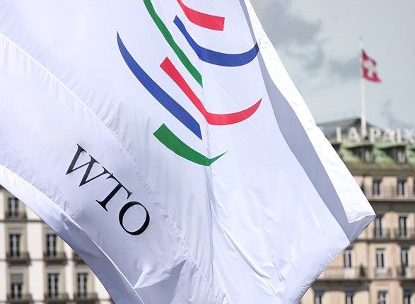 В МЭРТ дали оценку решению ВТО по транзитным ограничениям РФ