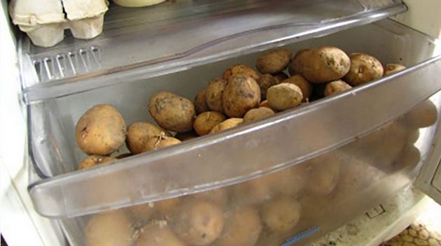 Никогда не кладите картошку в холодильник: есть две веские причины