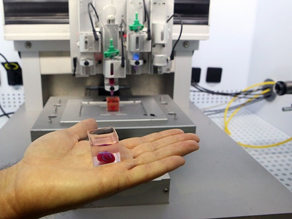 Только клетки человека и 3D-принтер: ученые напечатали «живое» сердце. ФОТО
