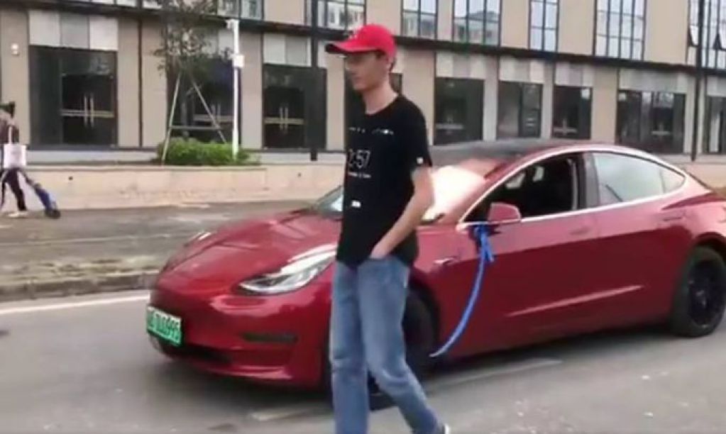 Мужчина взорвал Сеть, выгуляв Tesla на поводке. ВИДЕО