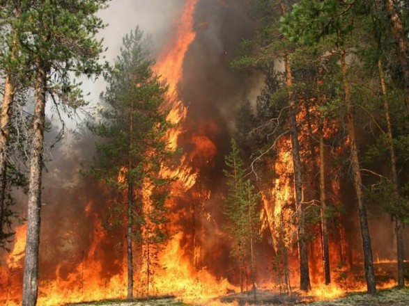 В Украине насчитали более 10 000 пожаров на открытых территориях в этом году