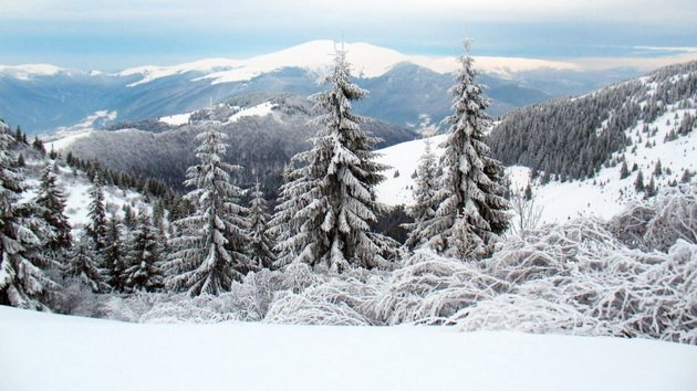 Украину на Пасху накрыл снег: зима вернулась, впечатляющие ФОТО
