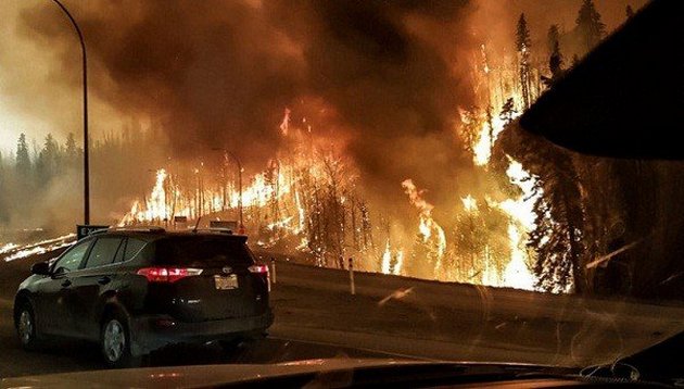 "Сгорели живьем": целый регион накрыла мощная огненная стихия. ФОТО, ВИДЕО