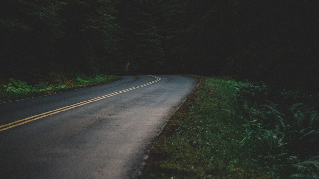 В Австралии инопланетянина сняли на видеокамеру