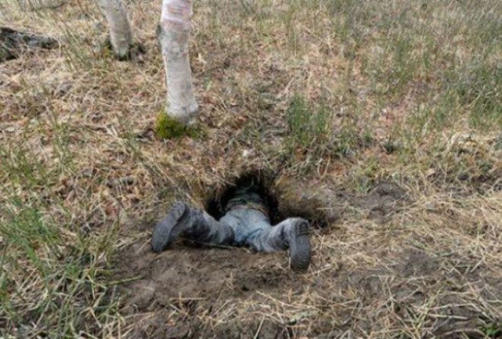 Так выглядит изнутри настоящая медвежья берлога