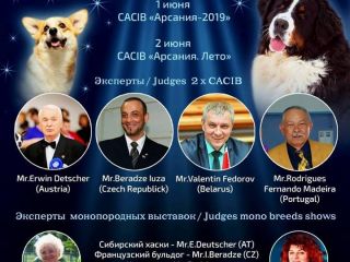 Николаев готовится к открытию двух масштабных выставок собак международного уровня