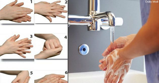 15 вещей, после которых нужно срочно помыть руки