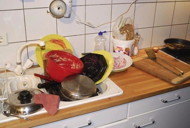 Вот почему не рекомендуется оставлять на ночь грязную посуду