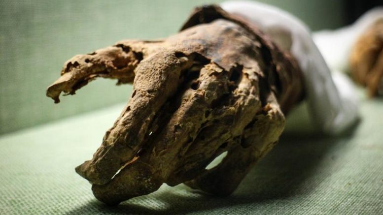 Сенсация в мире науки: 200-летняя мумия монаха оказалась... живой