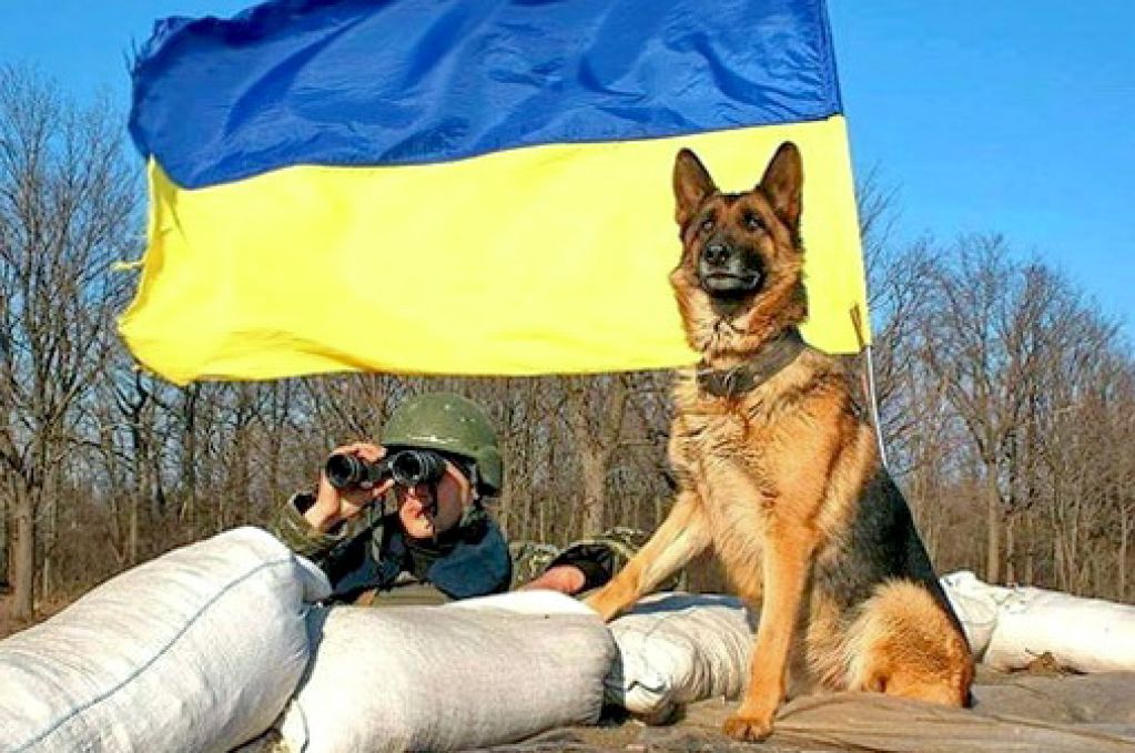 Почему Россия «имеет в виду» Украину?