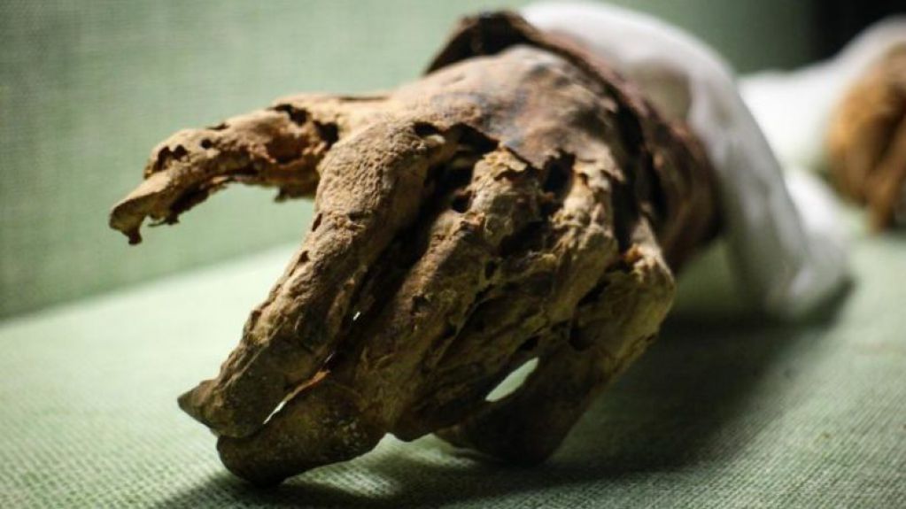 Сенсация в мире науки: 200-летняя мумия монаха оказалась... живой