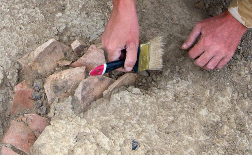Такого еще не было: обнаружена голова древнего монстра возрастом 40 тысяч лет