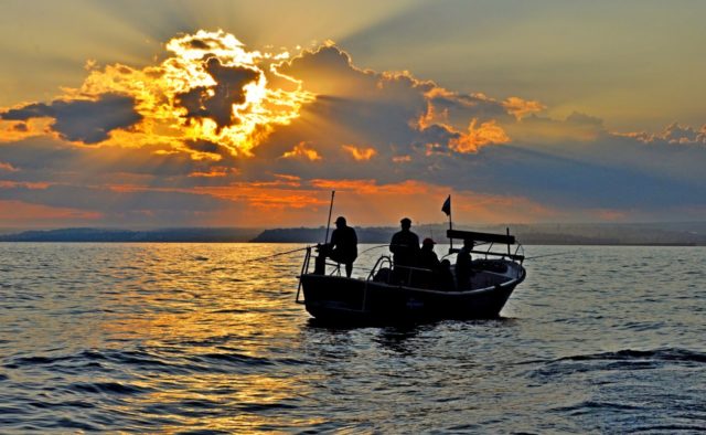 «Такого еще не видели»: рыбак выловил в озере гигантского мутанта